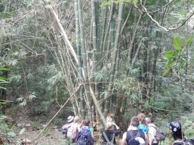 3-days/2-nights Trekking Tour | Chiang Mai Trekking | Le meilleur trekking à Chiang Mai avec Piroon Nantaya